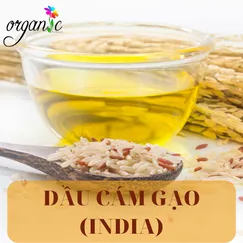DẦU CÁM GẠO (INDIA)