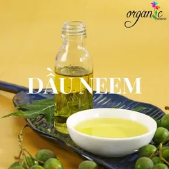 DẦU NEEM (ẤN ĐỘ)