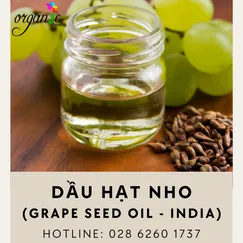 DẦU HẠT NHO (ẤN)