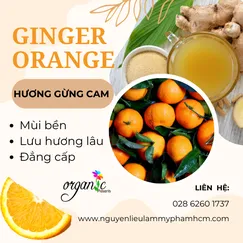 HƯƠNG THẢO MỘC GỪNG CAM (GINGER & ORANGE FRAGRANCE OIL)