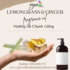 HƯƠNG THẢO MỘC SẢ CHANH GỪNG (LEMONGRASS & GINGER FRAGRANCE OIL)