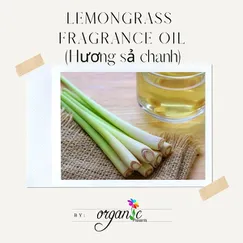 LEMONGRASS  (HƯƠNG SẢ CHANH)