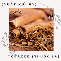 SWEET TOBACCO FRAGRANCE (HƯƠNG THUỐC LÁ NGỌT - P&J MỸ)