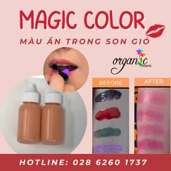 MAGIC COLOR (MÀU ẨN TRONG SON GIÓ)