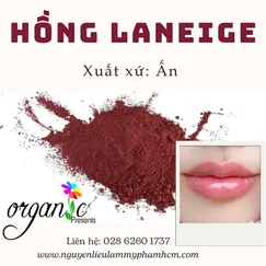 HỒNG LANEIGE