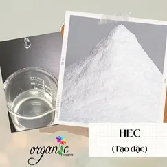 HYDROXYETHYL CELLULOSE (HEC)