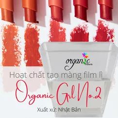ORGANIC GEL NO.2 - HOẠT CHẤT CHỐNG LEM & KHÁNG NƯỚC