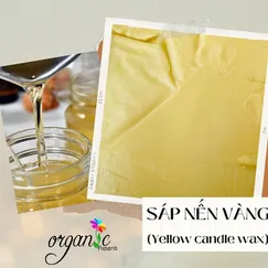 SÁP NẾN VÀNG (YELLOW CANDLE WAX)