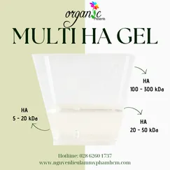 MULTI HA GEL