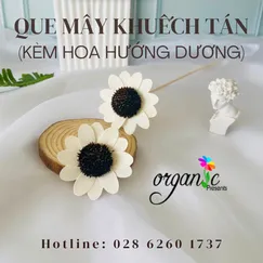QUE MÂY KHUẾCH TÁN TINH DẦU (KÈM HOA HƯỚNG DƯƠNG)