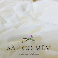SÁP CỌ MỀM LÀM NẾN (PALM WAX)