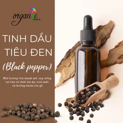 TINH DẦU TIÊU ĐEN (BLACK PEPPER)