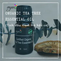 TINH DẦU TRÀM TRÀ HỮU CƠ (ORGANIC TEA TREE ESSENTIAL OIL)
