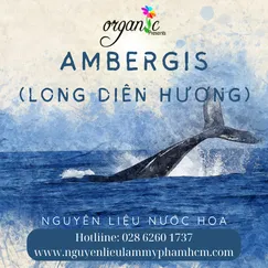 LONG DIÊN HƯƠNG (AMBERGRIS FRAGRANCE OIL)