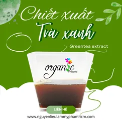 CHIẾT XUẤT TRÀ XANH (GREENTEA EXTRACT - ITALIA)