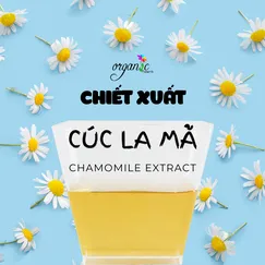 CHIẾT XUẤT CÚC LA MÃ (CHAMOMILE EXTRACT - ITALIA)