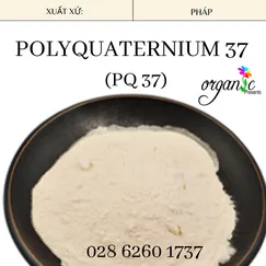 POLYQUATERNIUM 37 (PQ 37)