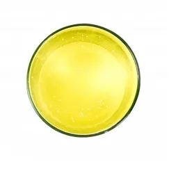 XÀ PHÒNG THỰC VẬT HỮU CƠ DẠNG LỎNG (98% ORGANIC CASTILE SOAP)