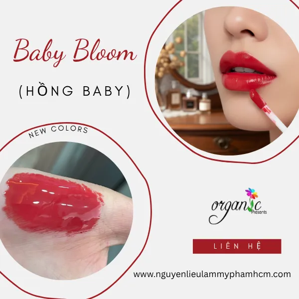 BABY BLOOM (HỒNG BABY)