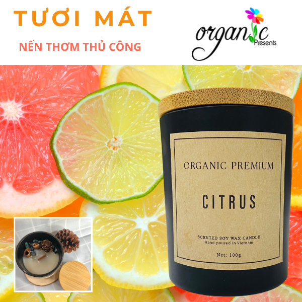 NẾN THƠM THỦ CÔNG - MÙI HƯƠNG CITRUS TƯƠI MÁT