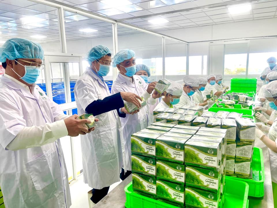rong nho tách nước xuất khẩu rong nho tách nước xuất khẩu