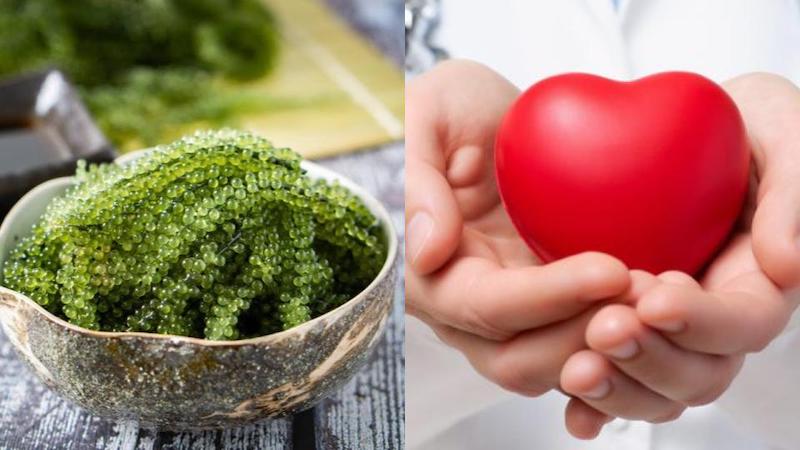 ăn rong nho tốt cho tim mạch ăn rong nho tốt cho tim mạch