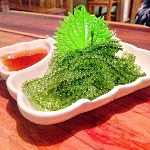 Công dụng của rong nho Công dụng của rong nho