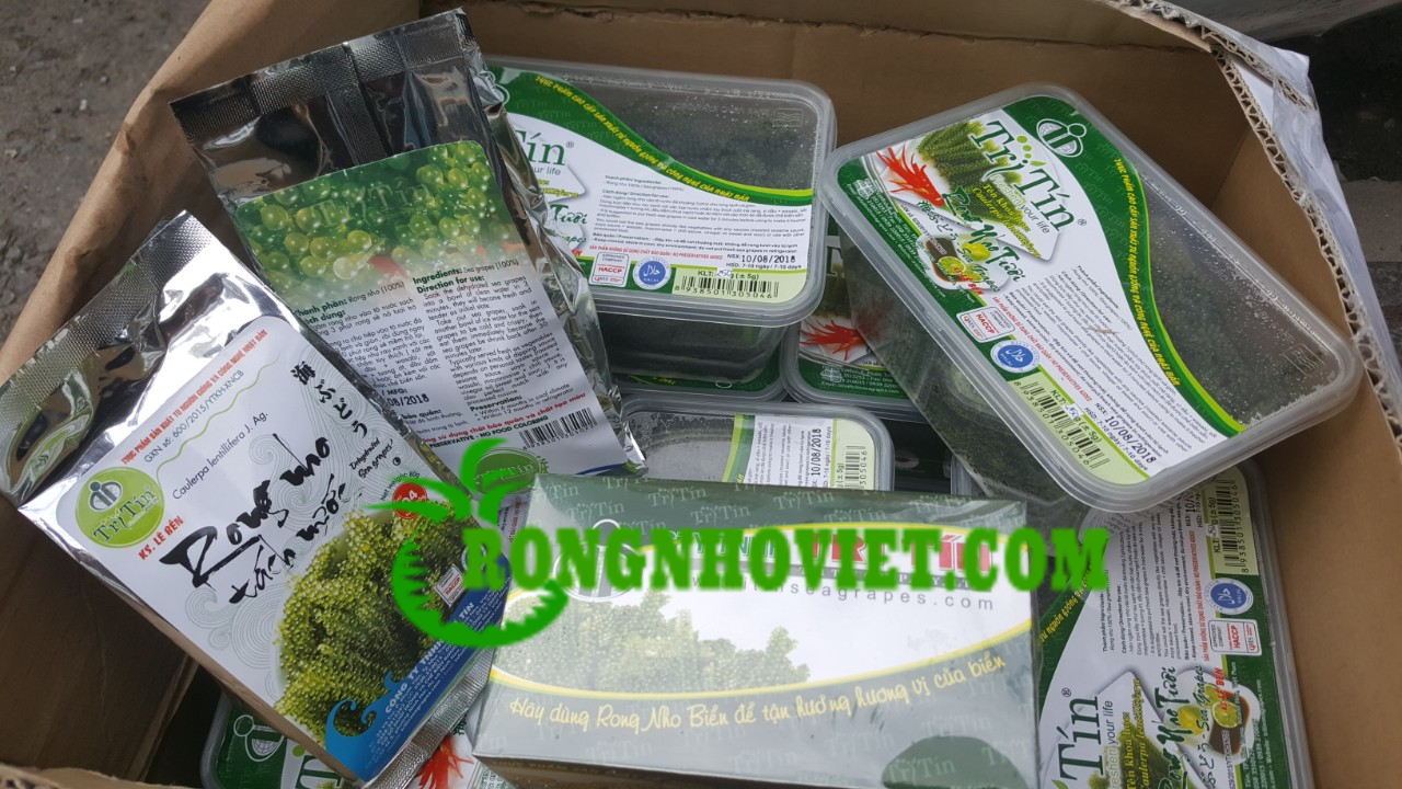 Rong nho khô trí tín Rong nho khô trí tín