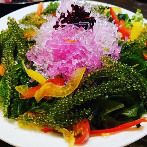 Ăn rong nho biển sống thọ Ăn rong nho biển sống thọ