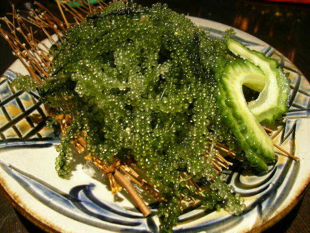 Rong nho biển dùng như rau xanh trong mỗi bữa ăn gia đình, nhà hàng.