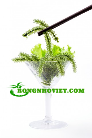 Rong nho biển trong thực đơn bữa ăn Rong nho biển trong thực đơn bữa ăn