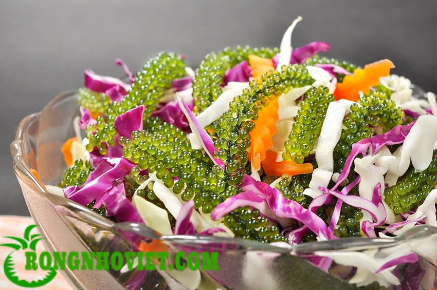 Salad rong nho biển ngon nhiều dinh dưỡng Salad rong nho biển ngon nhiều dinh dưỡng