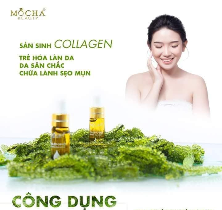 Làm đẹp với rong nho biển Làm đẹp với rong nho biển
