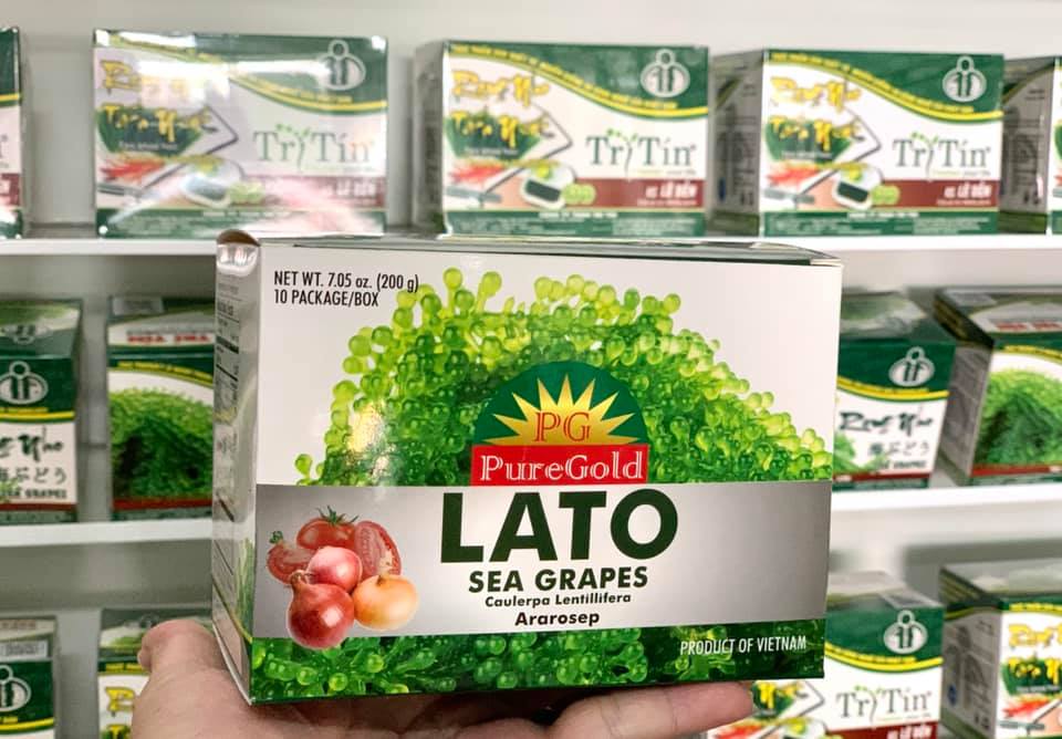 Rong nho Trí Tín ở Mỹ