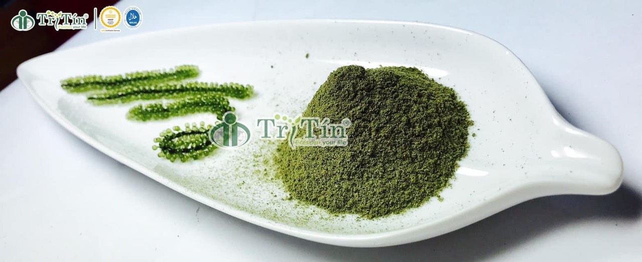 Powder seagrapes Powder seagrapes