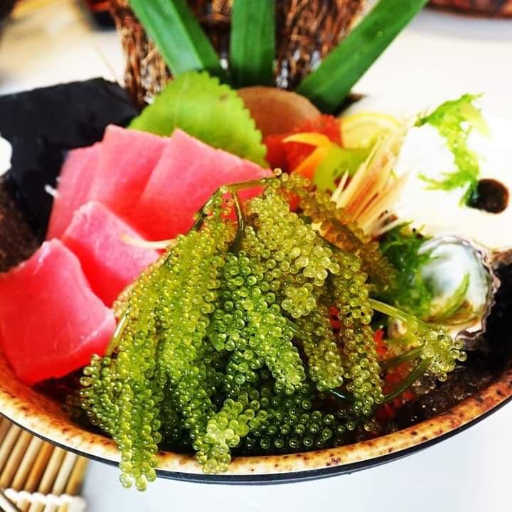 Rong nho biển tươi ngon 2 Rong nho biển tươi ngon 2