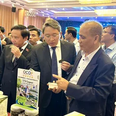 Vietnamese sea grapes Outstanding Strength in the Canadian Market
