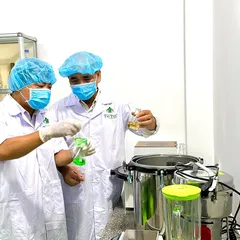 Rong nho chất lượng cần phải có phòng nguyên cứu vi sinh