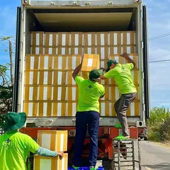 Trí Tín xuất khẩu rong nho nước ngoài