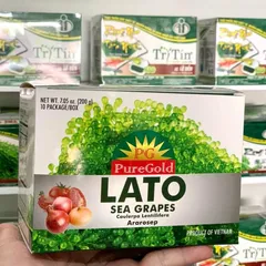 Rong nho Trí Tín tại Hoa Kỳ
