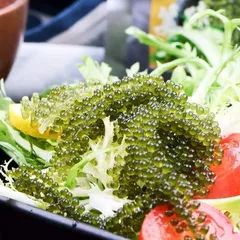 Rong nho có bán ở siêu thị không