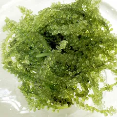Ăn rong nho có tác dụng gì.