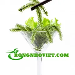 Lý do bạn nên chọn rong nho biển vào thực đơn ăn uống.