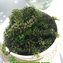 Mang thai ăn rong biển được không