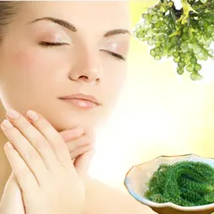 Mặt nạ rong nho biển