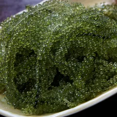 Mua rong nho ở TPHCM