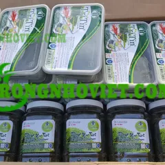 Nơi bán rong biển tươi ở tphcm