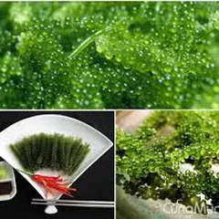 Nơi bán rong nho chất lượng