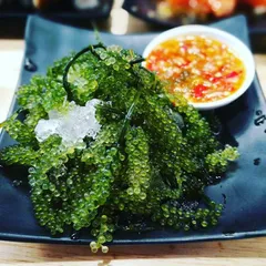 Rong trứng cá