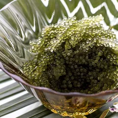 Tác dụng của rong nho tươi